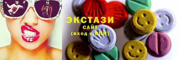 сатива Верея