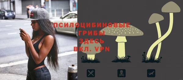 сатива Верея