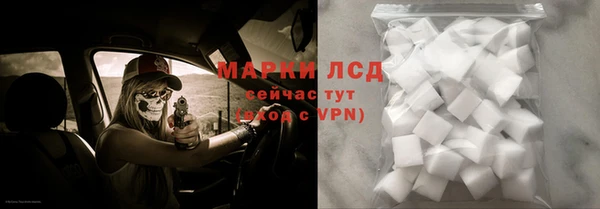 сатива Верея