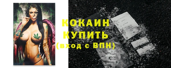 сатива Верея