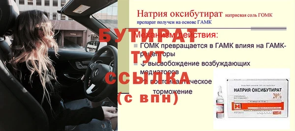 сатива Верея