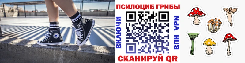 Псилоцибиновые грибы Psilocybe  Ивангород 